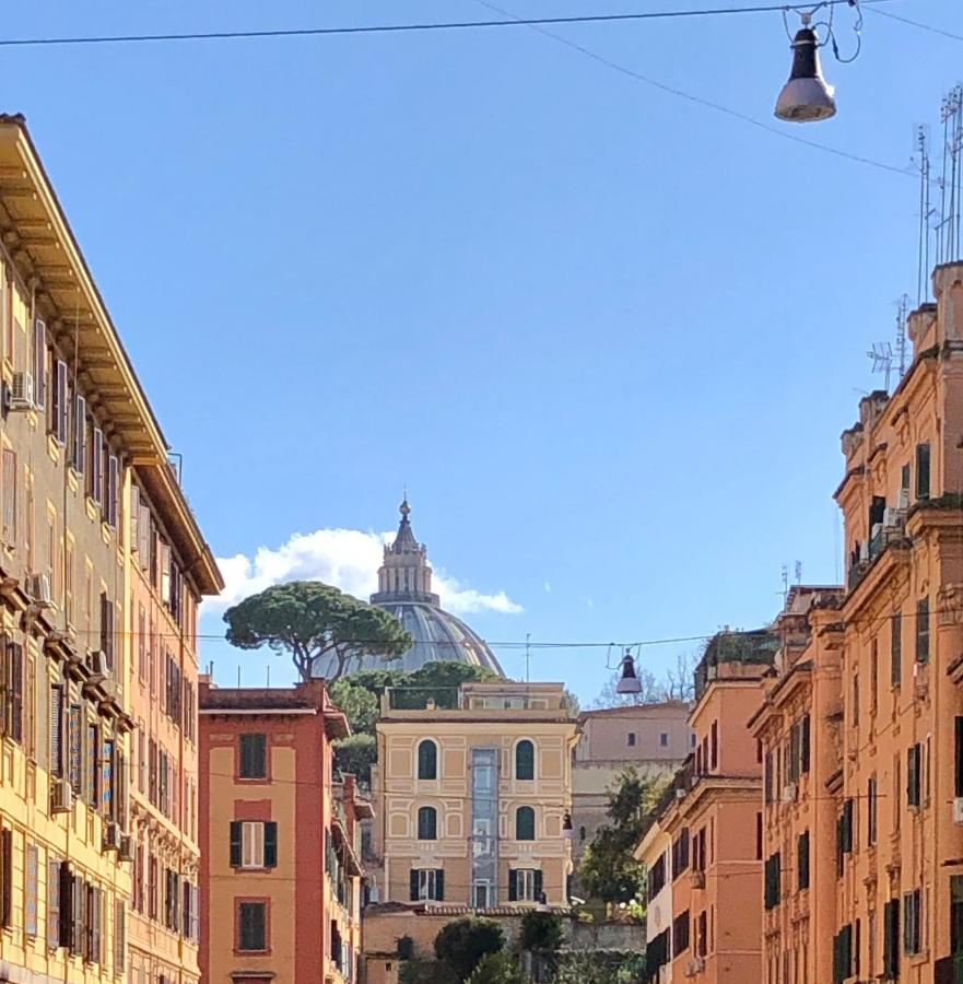 Amp Vatican House Roma Dış mekan fotoğraf